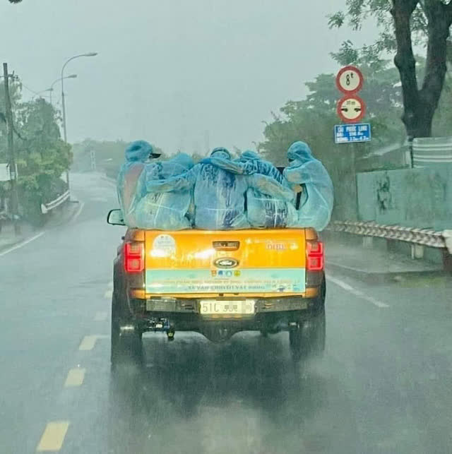 Đằng sau bức ảnh chiếc xe bán tải chở những áo xanh choàng vai dưới mưa tầm tã lay động triệu trái tim người Việt - Ảnh 1.