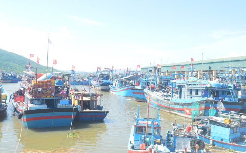 Quảng Ngãi tiếp tục nới lỏng thêm nhiều hoạt động từ 18 giờ ngày 12/10 - Ảnh 1. Quảng Ngãi tiếp tục nới lỏng thêm nhiều hoạt động từ 18 giờ ngày 12/10 - Ảnh 1.