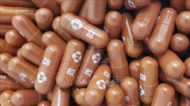 Thái Lan ký hợp đồng mua 50.000 liệu trình thuốc Molnupiravir - Ảnh 1. Thái Lan ký hợp đồng mua 50.000 liệu trình thuốc Molnupiravir - Ảnh 1.
