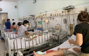 TP Hồ Chí Minh: Bệnh sốt xuất huyết tăng 44% so với cùng kỳ năm 2021 