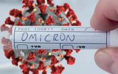Bộ Y tế tăng cường giám sát dịch tễ, ngăn biến chủng mới Omicron