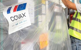 Gần 970 nghìn liều vaccine Pfizer của Pháp viện trợ đã về Việt Nam