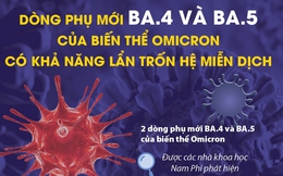 Hà Nội, TP HCM đã có ca COVID-19 nhiễm biến thể phụ BA.4, BA.5: Các chuyên gia khuyến cáo gì?