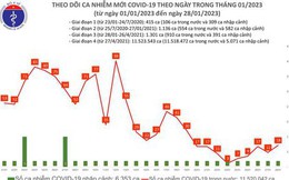 Mùng 7 Tết Quý Mão: Số ca mắc COVID-19 mới cao nhất trong tuần