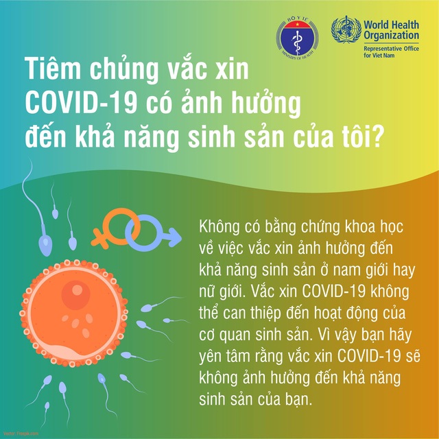 Phụ nữ mang thai, đang cho con bú có nên tiêm vaccine COVID-19? - Ảnh 5.