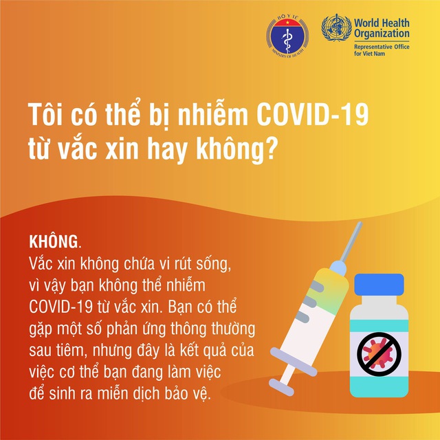 Những sự thật về vaccine COVID-19 - Ảnh 10.