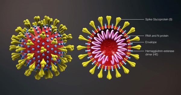 Tìm hiểu covid 19 virus hiệu quả